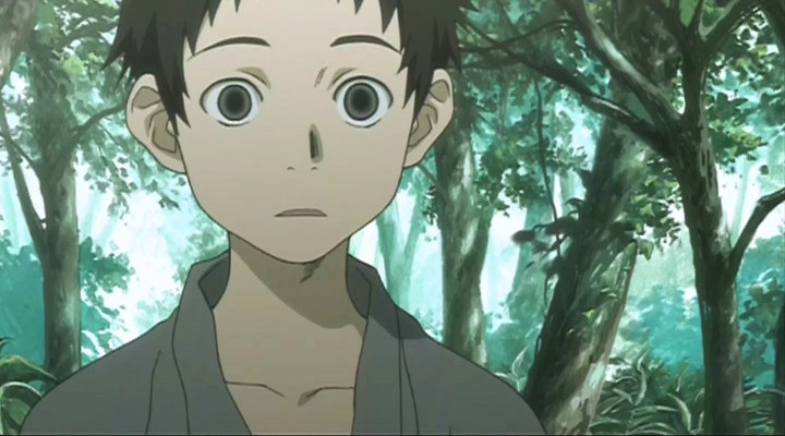 mushishi (luipi)